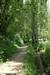 sadaf (4)_resize.jpg